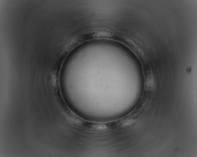 X0000089760715200707121403