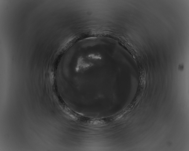 X0000089760716200707121403