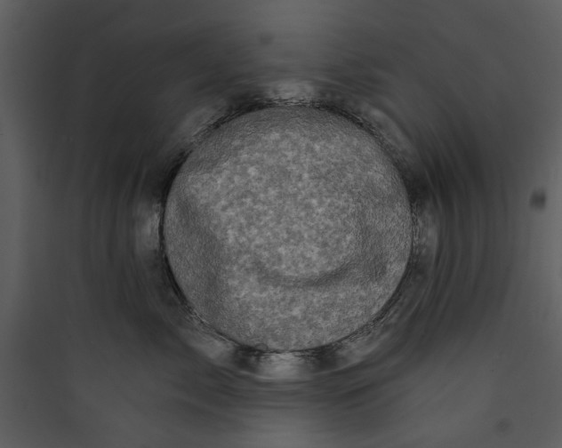 X0000089760717200707121403