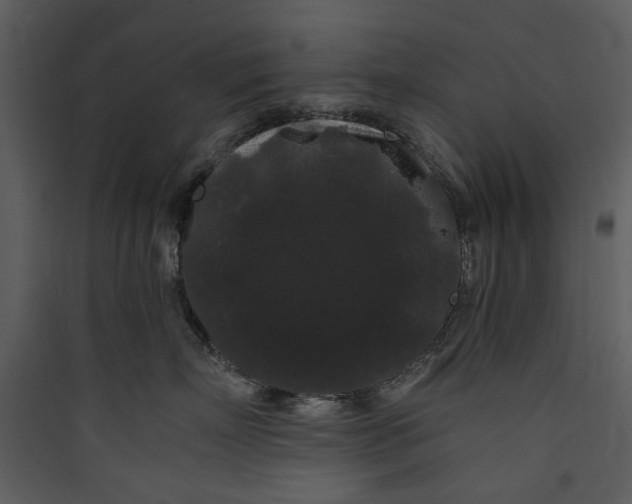 X0000089760718200707121403