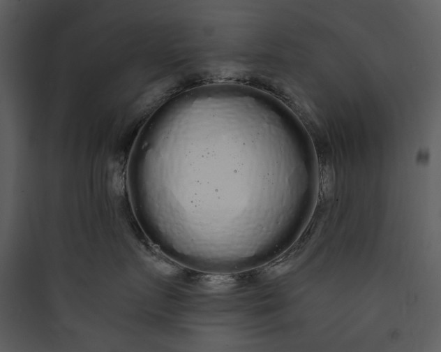 X0000089760719200707121403