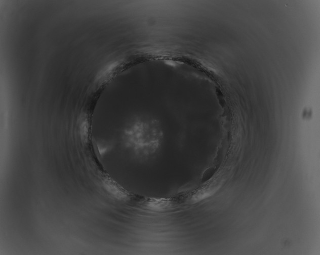 X0000089760720200707121403