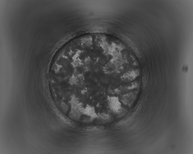 X0000089760721200707121402