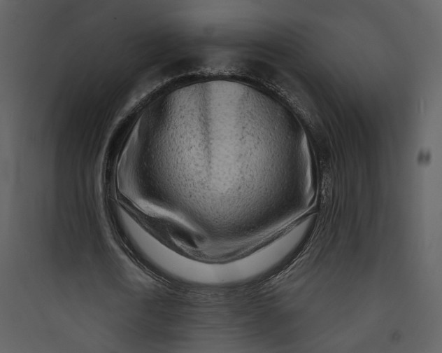 X0000089760722200707121402