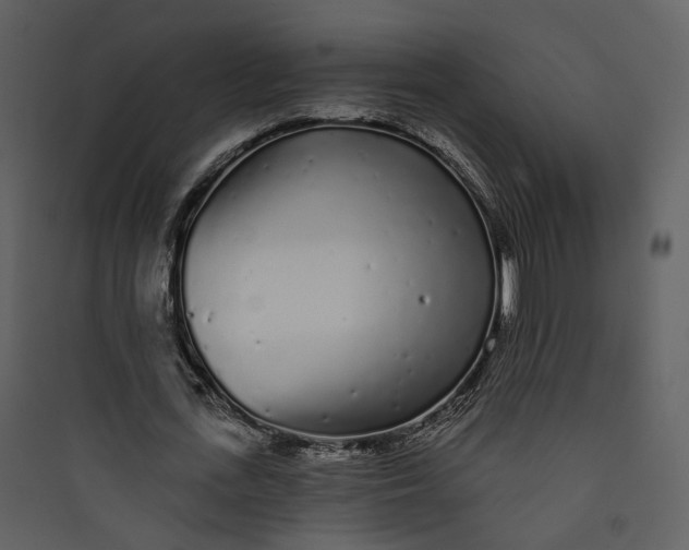 X0000089760723200707121402