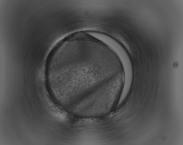 X0000089760724200707121402