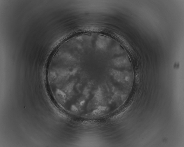 X0000089760725200707121403