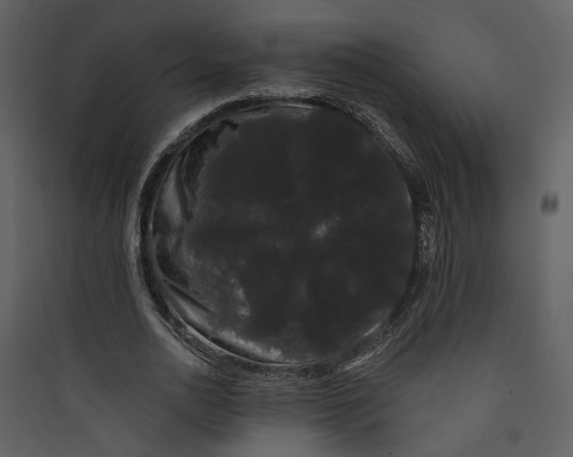 X0000089760726200707121403