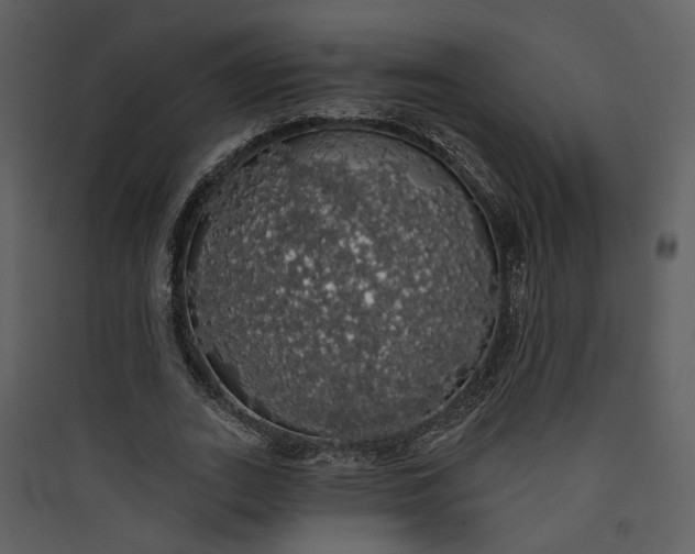 X0000089760727200707121403