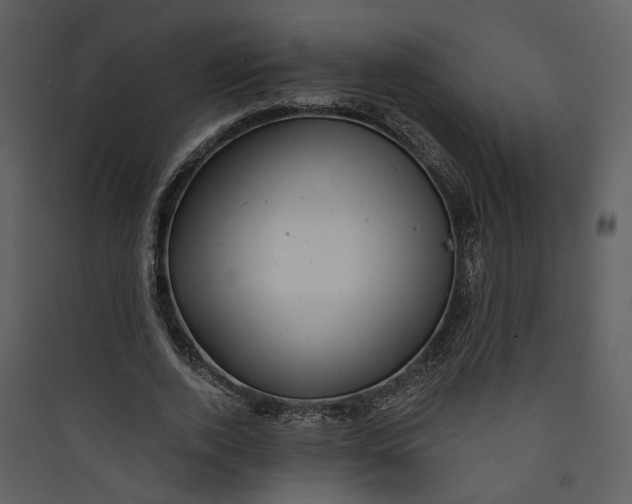 X0000089760728200707121403