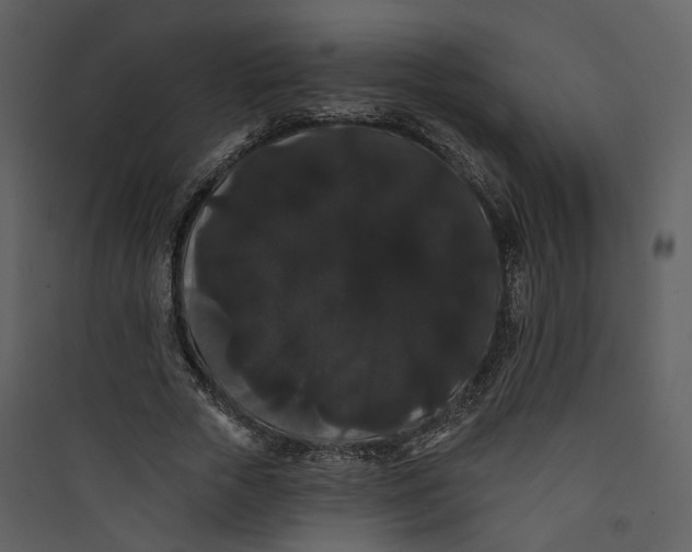 X0000089760729200707121403