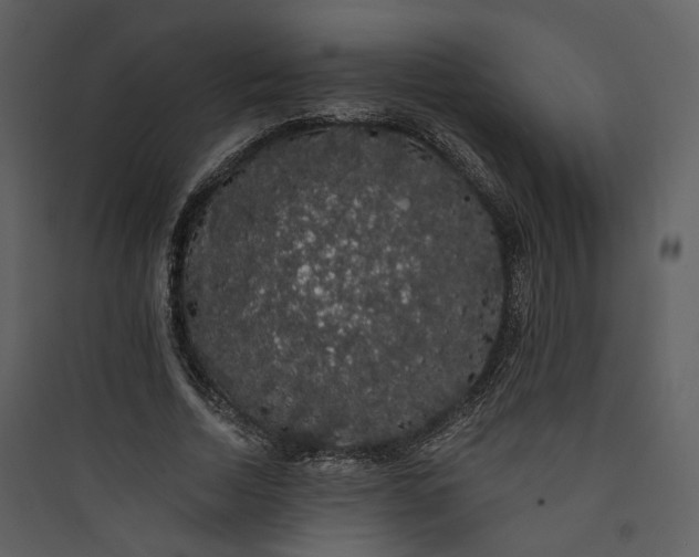 X0000089760730200707121403