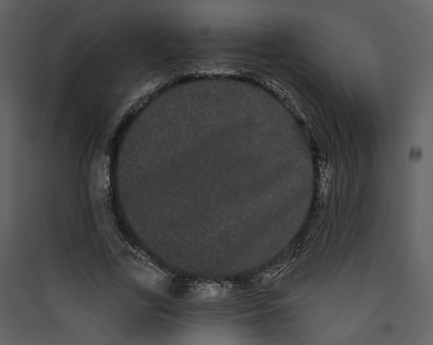 X0000089760731200707121403