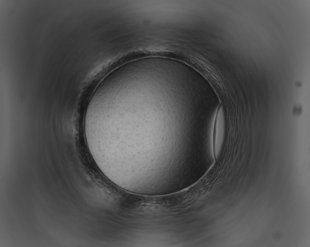 X0000089760732200707121403