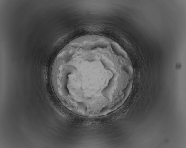 X0000089760733200707121403