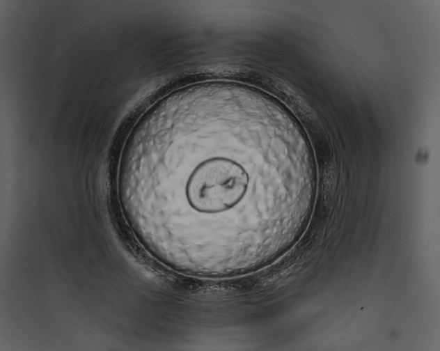 X0000089760734200707121403