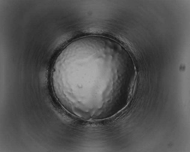 X0000089760735200707121403