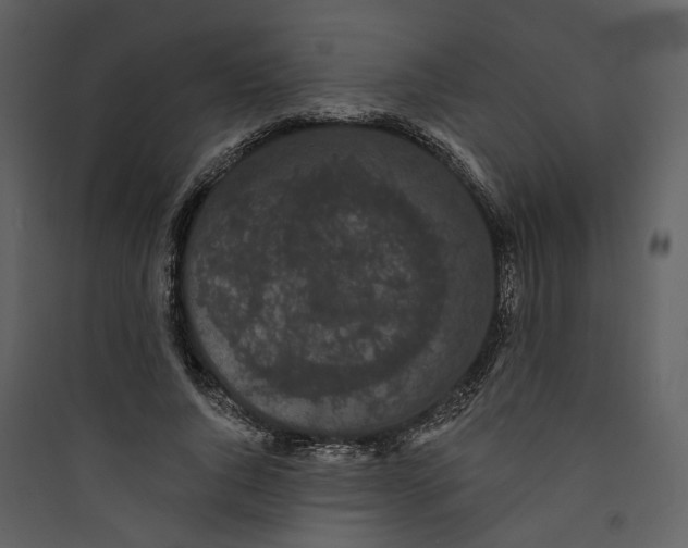 X0000089760736200707121403