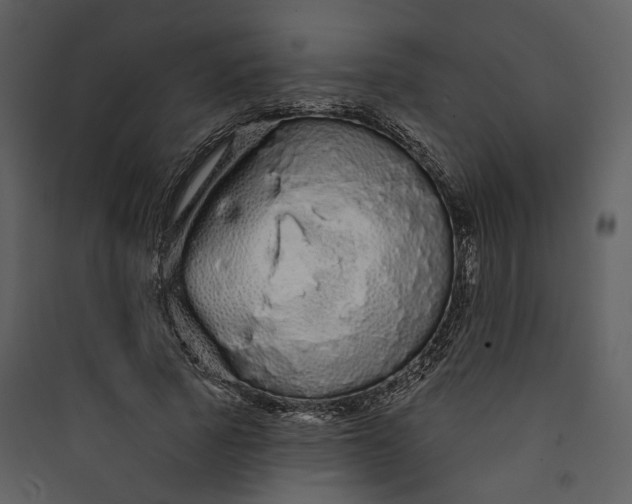 X0000089760737200707121403