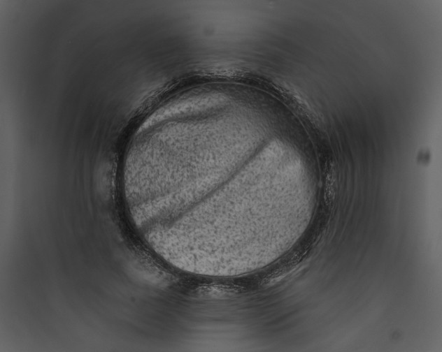 X0000089760739200707121403