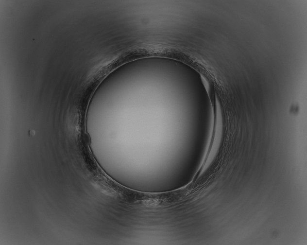 X0000089760740200707121403