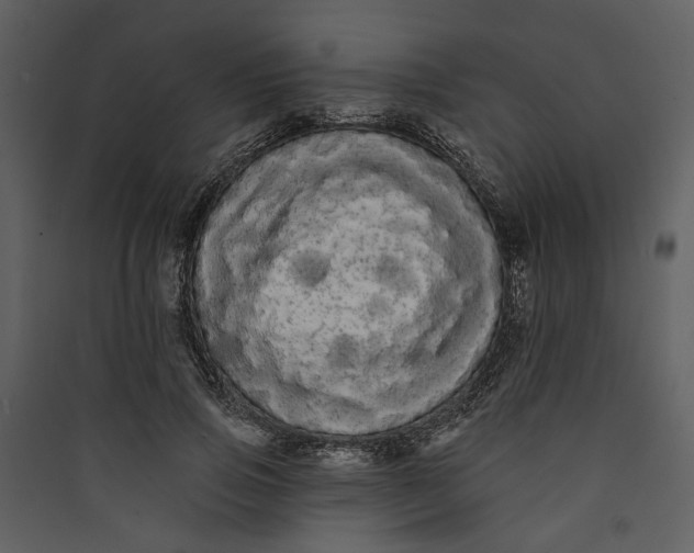 X0000089760741200707121403