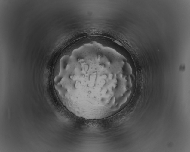 X0000089760742200707121403