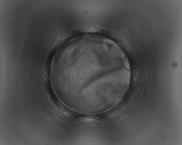 X0000089760743200707121403