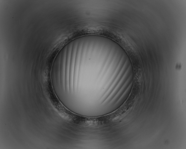 X0000089760744200707121403