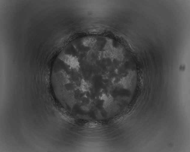 X0000089760745200707121403