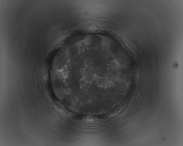 X0000089760746200707121403