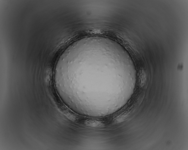 X0000089760747200707121403