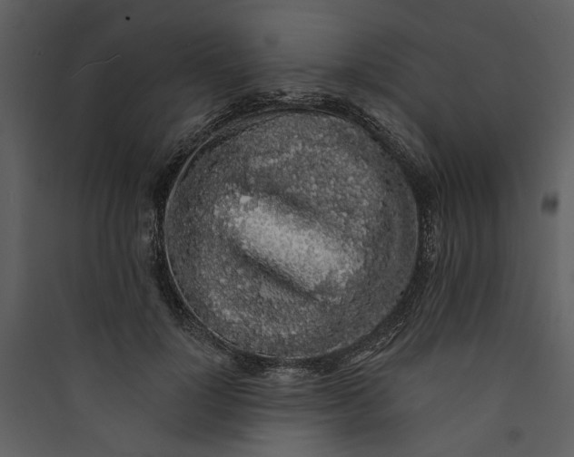 X0000089760748200707121403