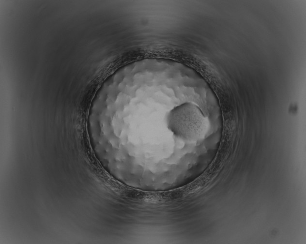 X0000089760749200707121403