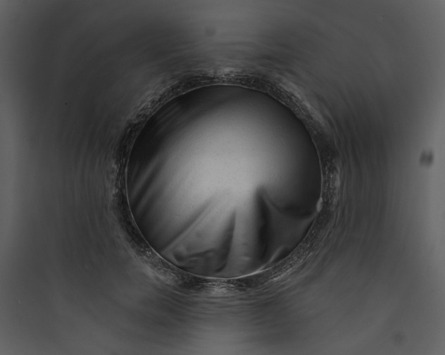 X0000089760750200707121403