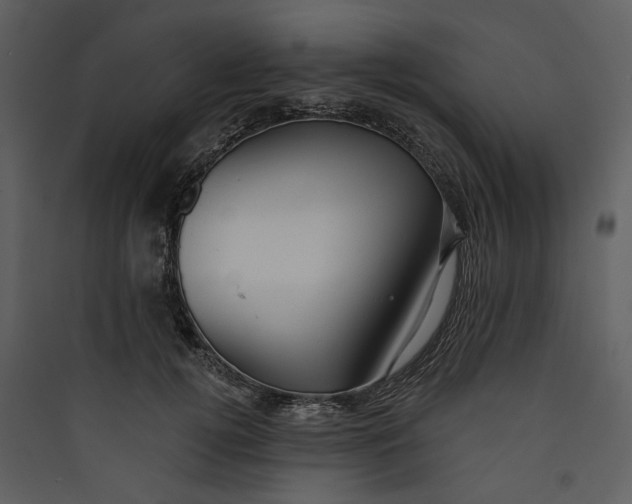 X0000089760752200707121403