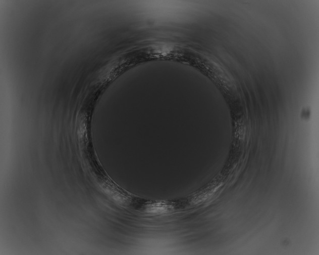 X0000089760754200707121403