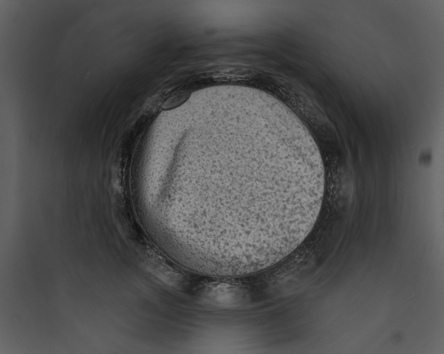 X0000089760755200707121403