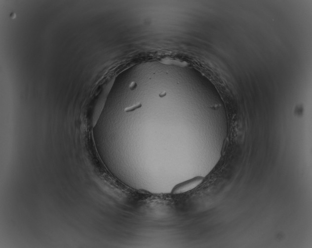 X0000089760756200707121403