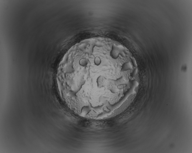 X0000089760757200707121403