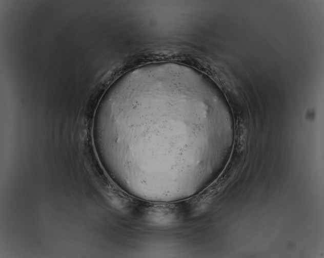 X0000089760758200707121403