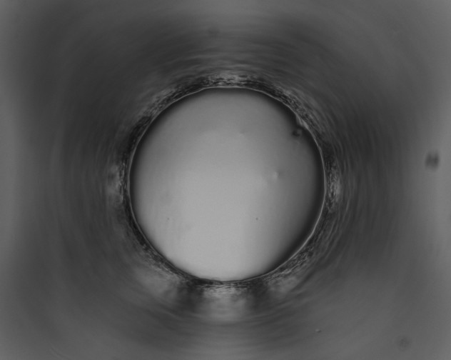 X0000089760759200707121403