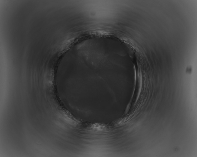 X0000089760760200707121403