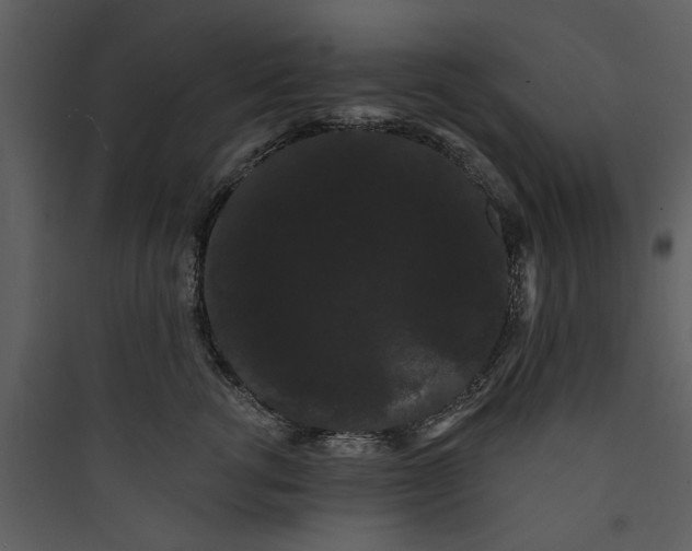 X0000089760762200707121403