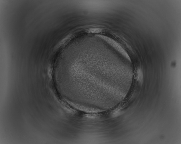 X0000089760763200707121403