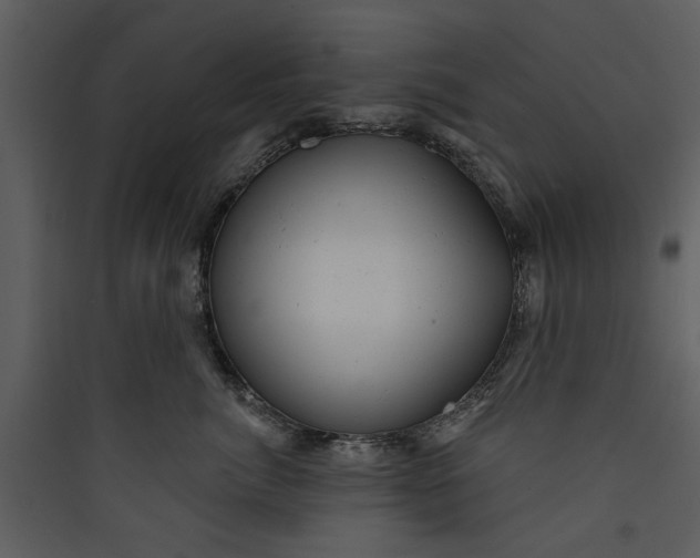 X0000089760764200707121403