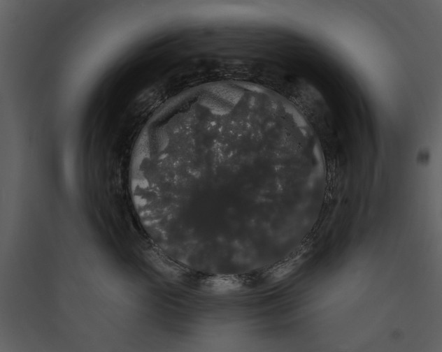 X0000089760765200707121403