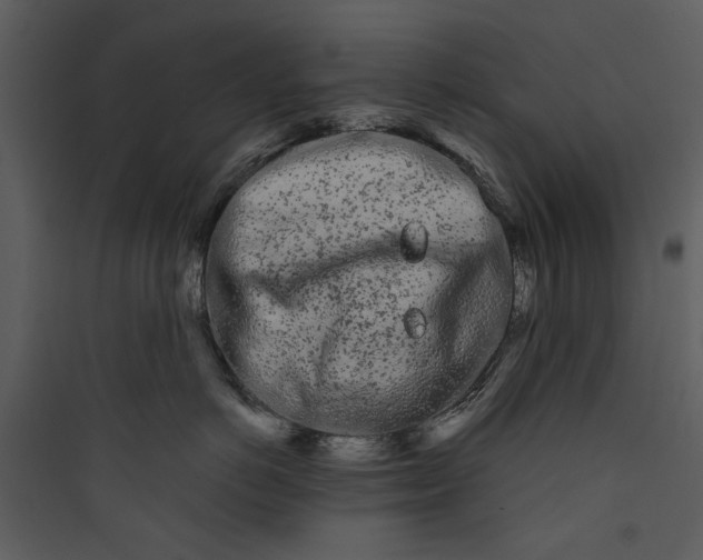 X0000089760766200707121403