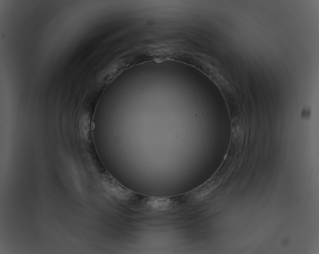 X0000089760767200707121403