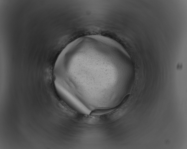 X0000089760768200707121403